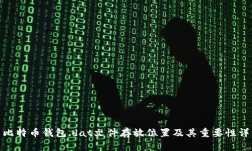 : 比特币钱包.dat文件存放位置及其重要性详解