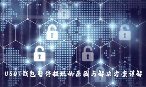 USDT钱包暂停提现的原因与解决方案详解
