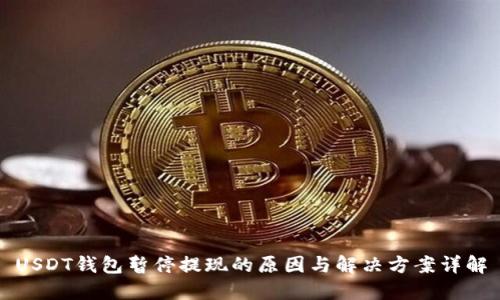 USDT钱包暂停提现的原因与解决方案详解