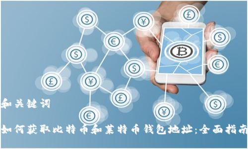 和关键词
如何获取比特币和莱特币钱包地址:全面指南