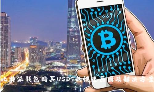 比特派钱包购买USDT的慢速原因及解决方案