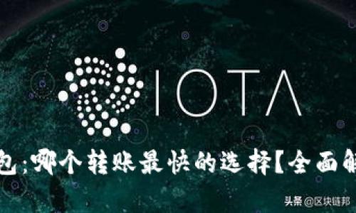 虚拟币钱包:哪个转账最快的选择?全面解析与比较