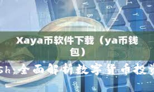ImToken钱包与Dash:全面解析数字货币投资的安全性与便利性