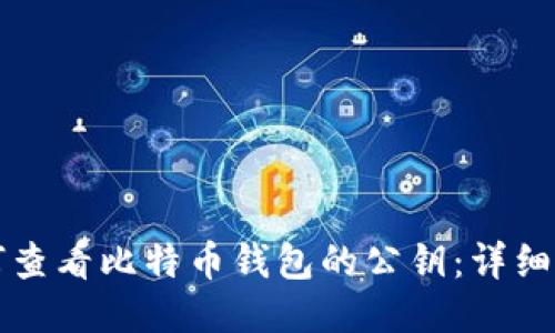 如何查看比特币钱包的公钥:详细指南