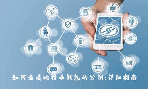 如何查看比特币钱包的公钥:详细指南