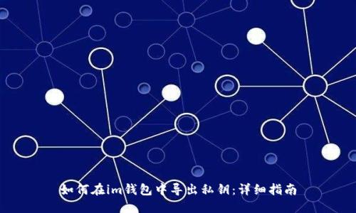如何在im钱包中导出私钥:详细指南