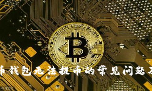 解决比特币钱包无法提币的常见问题及应对策略