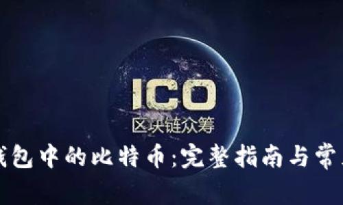 如何查看钱包中的比特币:完整指南与常见问题解析