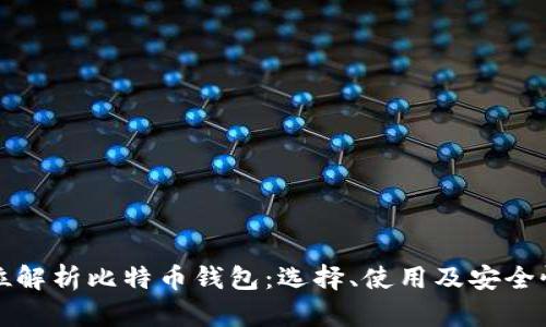 全方位解析比特币钱包:选择、使用及安全性指南