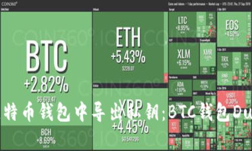 如何安全地在比特币钱包中导出私钥:BTC钱包DumpPrivKey详解
