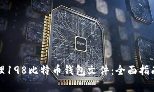 如何有效管理198比特币钱包文件:全面指南与最佳实践