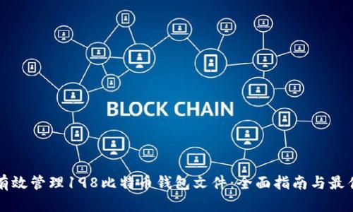 如何有效管理198比特币钱包文件:全面指南与最佳实践
