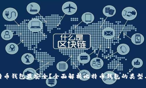 哪种比特币钱包最安全?全面解析比特币钱包的类型与安全性