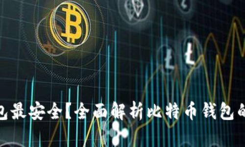 哪种比特币钱包最安全?全面解析比特币钱包的类型与安全性
