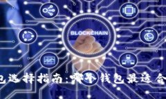 比特币钱包选择指南：哪