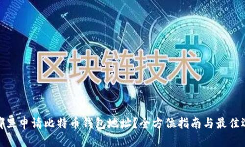 在哪里申请比特币钱包地址?全方位指南与最佳选择