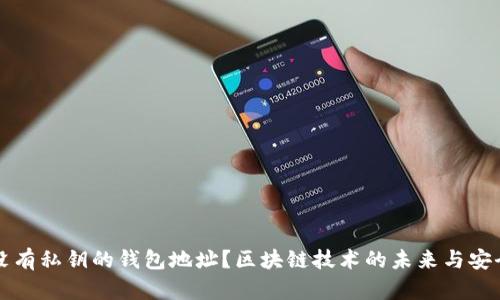 什么是没有私钥的钱包地址?区块链技术的未来与安全性分析