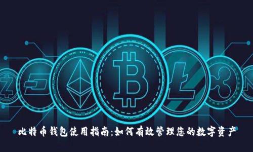 比特币钱包使用指南:如何有效管理您的数字资产