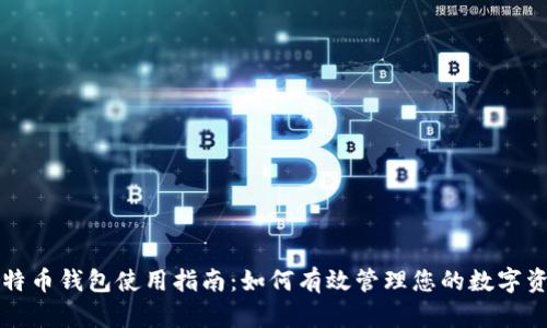 比特币钱包使用指南:如何有效管理您的数字资产