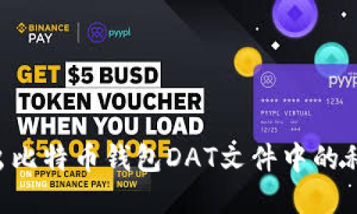 如何安全导出比特币钱包DAT文件中的私钥:完整指南