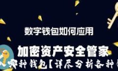 USDT可以提入哪种钱包？详