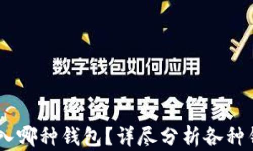 USDT可以提入哪种钱包?详尽分析各种钱包及其优势