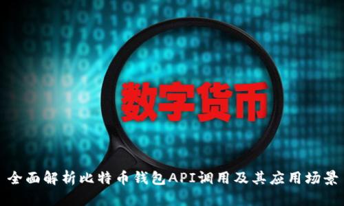 全面解析比特币钱包API调用及其应用场景