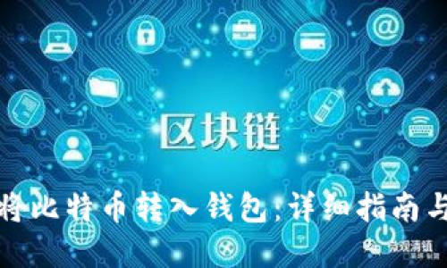 如何将比特币转入钱包:详细指南与解答