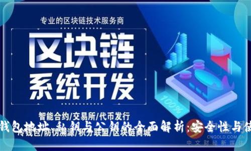 比特币钱包地址、私钥与公钥的全面解析:安全性与使用指南