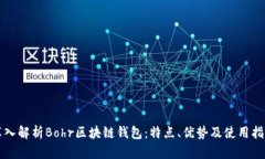 深入解析Bohr区块链钱包：