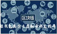 钱能钱包是什么虚拟币的