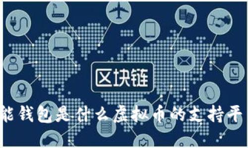 钱能钱包是什么虚拟币的支持平台?