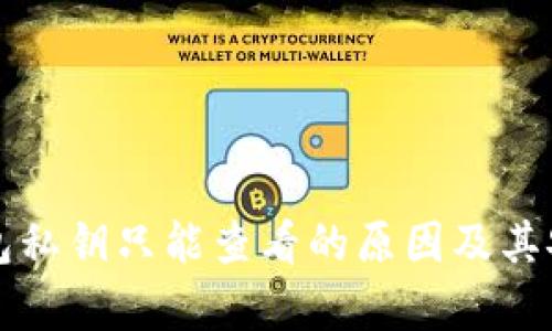 比特币钱包私钥只能查看的原因及其安全性分析