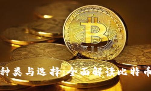 比特币钱包的种类与选择:全面解读比特币钱包的多样性