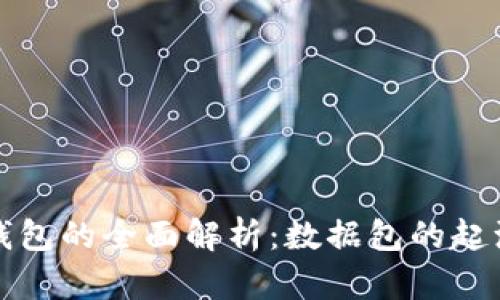 比特币轻钱包的全面解析:数据包的起源与重要性