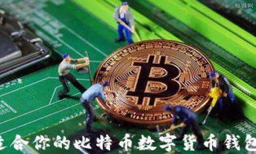 如何选择适合你的比特币数字货币钱包:终极指南