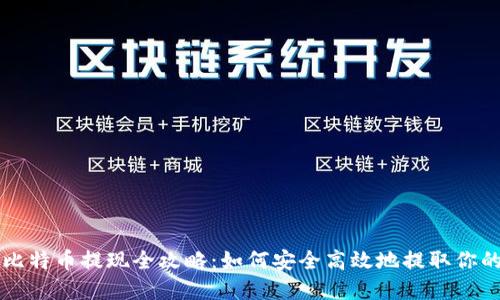 雷达钱包比特币提现全攻略:如何安全高效地提取你的数字资产