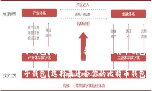 比特币用什么电子钱包?选择最适合你的比特币钱包的全面指南
比特币用什么电子钱包?选择最适合你的比特币钱包的全面指南