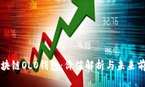区块链OLO钱包:价值解析与未来前景