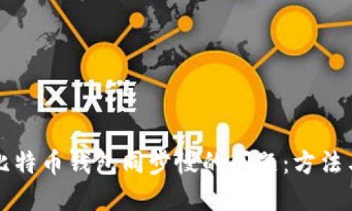 解决比特币钱包同步慢的问题:方法与技巧