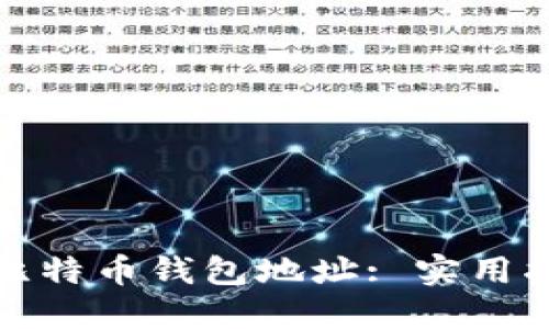 如何隐藏比特币钱包地址: 实用指南与技巧