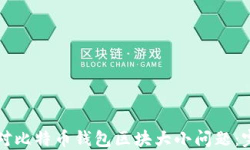 如何应对比特币钱包区块大小问题:完整指南