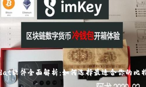 比特币钱包dat软件全面解析:如何选择最适合你的比特币存储工具
