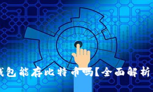苹果手机钱包能存比特币吗?全面解析与用户指南
