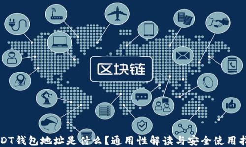 USDT钱包地址是什么?通用性解读与安全使用指南