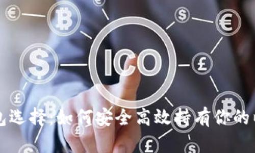 以太坊钱包选择:如何安全高效持有你的以太坊资产