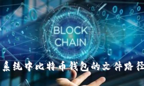 苹果系统中比特币钱包的文件路径详解