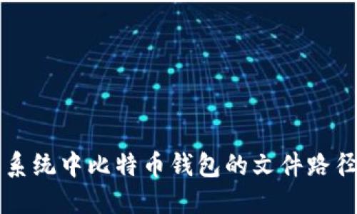 苹果系统中比特币钱包的文件路径详解