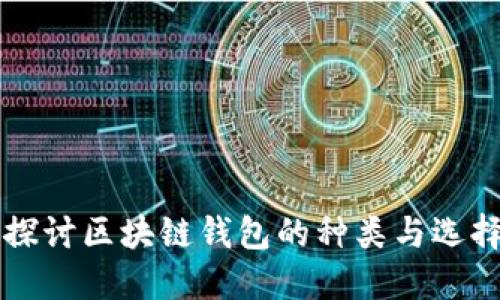 深入探讨区块链钱包的种类与选择指南