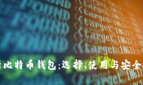 全面解析比特币钱包:选择、使用与安全防护指南